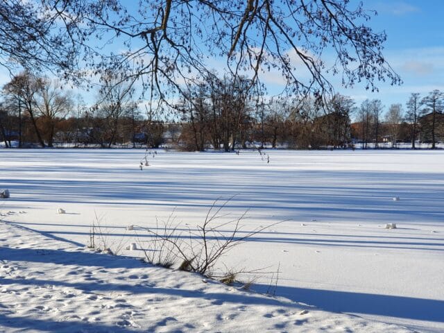 Söndag den 7 februari – Vandringsgudstjänst