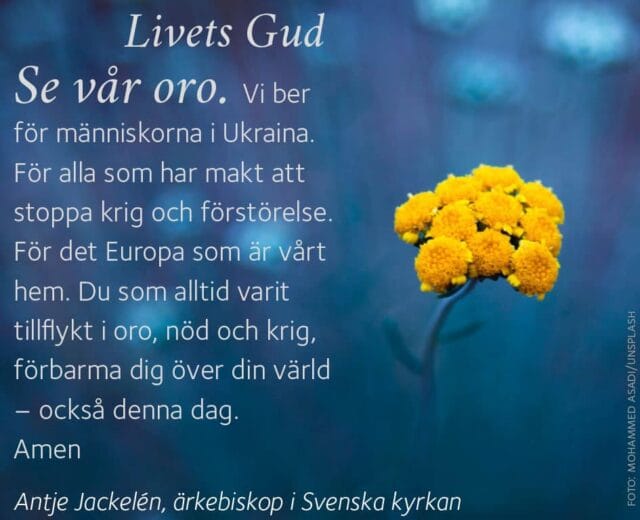 Söndag den 13 mars – Högtidsgudstjänst kl 11 & Sinnesrogudstjänst kl 16