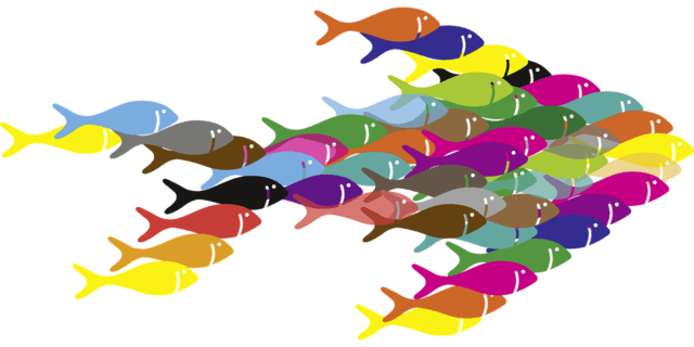 Söndag den 30 oktober – Gudstjänst kl 11.00