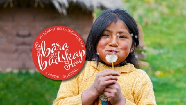 Söndag den 15 jan – Gudstjänst kl 11