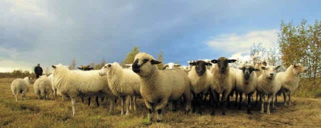 Söndag den 14 april – Gudstjänst kl 11