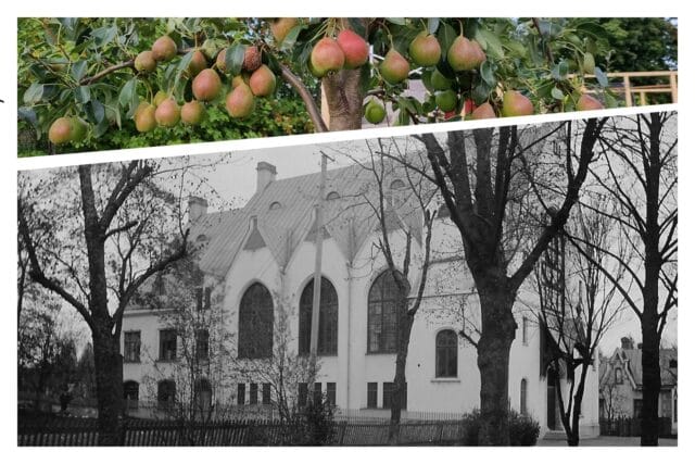 Lördag 19 okt kl 15 & kl 18 och söndag den 20 okt kl 16