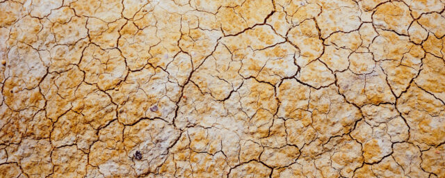 Söndag den 9 mars – Gudstjänst klockan 11 och sinnesrogudstjänst klockan 16