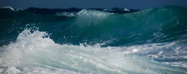 Söndag den 15/2 – Gudstjänst kl 11