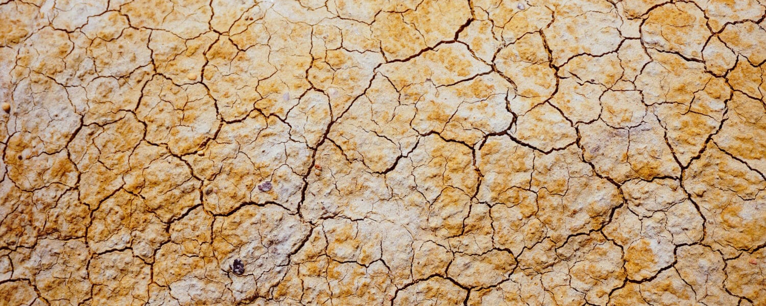 Torr och sprucken jord